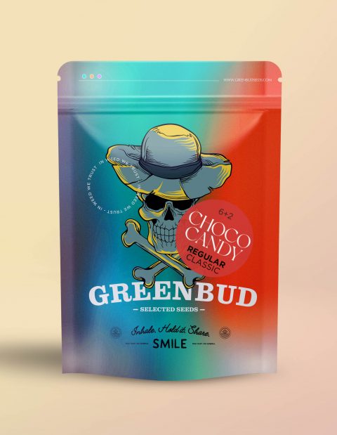 REGULAR CLASSIC LINE